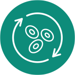 <p>Cellular Health & Longevity</p>