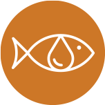 <p>Fish Oils & Omegas</p>