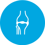 <p>Bones & Musculoskeletal Health</p>