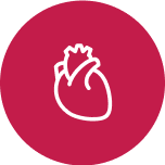 <p>Cardiovascular Health</p>