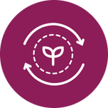 <p>Liver & <br/>Detoxification</p>